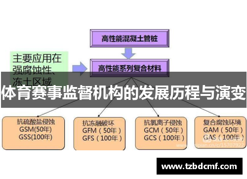 体育赛事监督机构的发展历程与演变